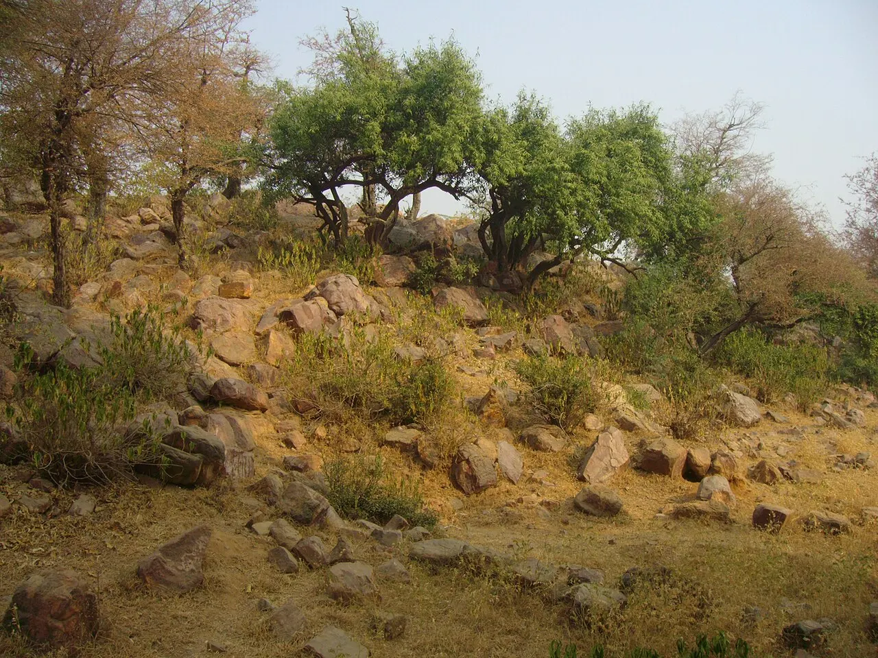 Govardhan hill near Mathura
