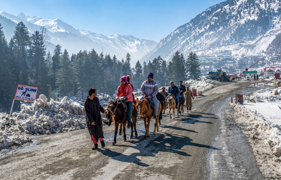Kashmir Family Topur Package